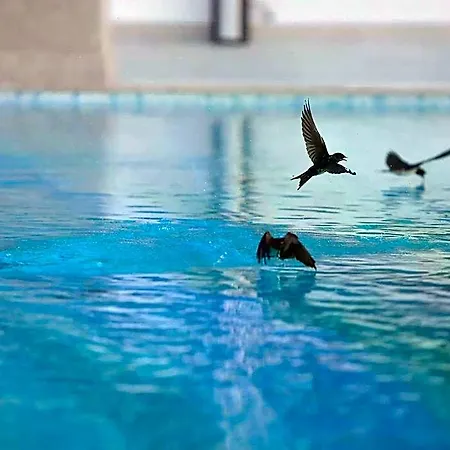In Starigrad With Heated Pool 4* Stari Grad (Hvar)